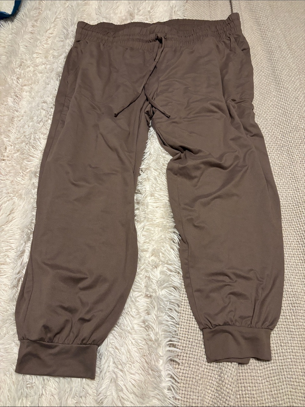 AnyBody Women's Brown Cozy Jogger Sweatpants